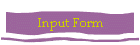 Input Form