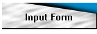 Input Form