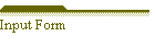 Input Form